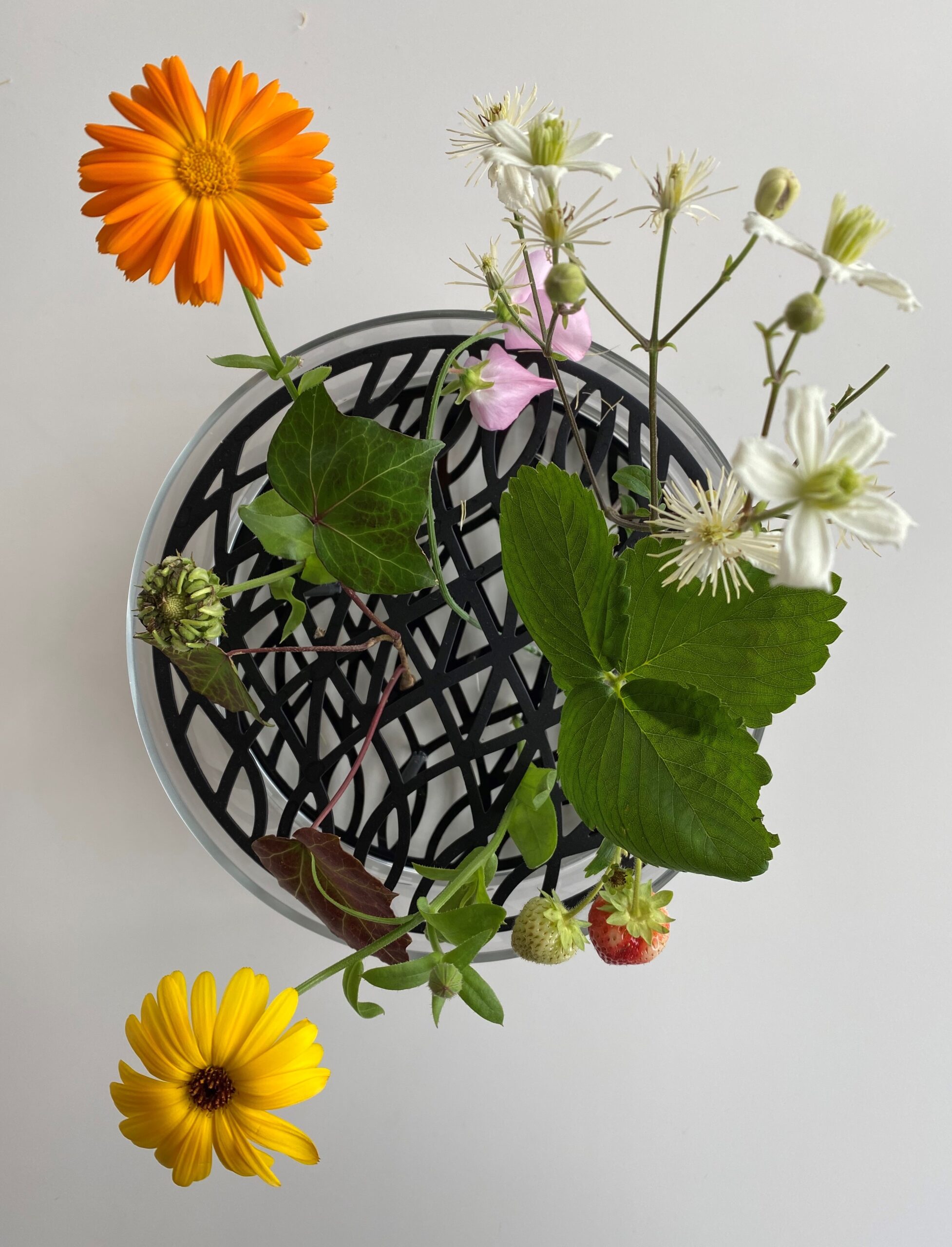Blommor